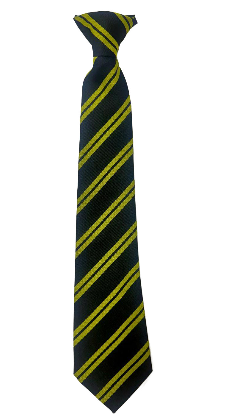 Holywood P.S. School Tie