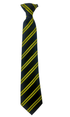 Holywood P.S. School Tie