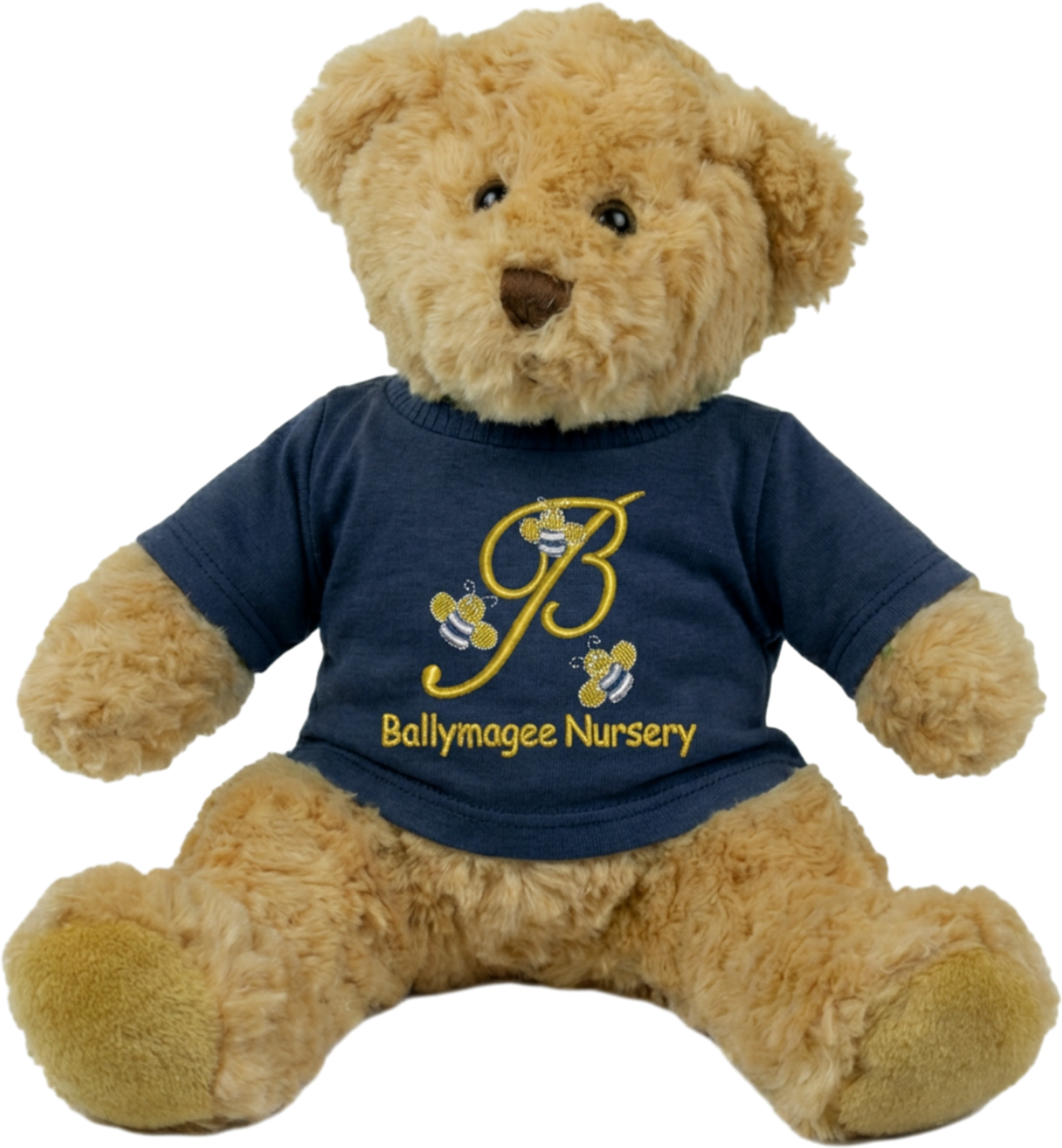 Ballymagee Nursery Teddy Bear