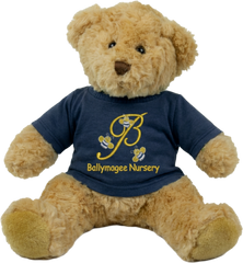 Ballymagee Nursery Teddy Bear