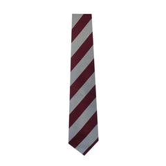 CLANDEBOYE P.S. TIE